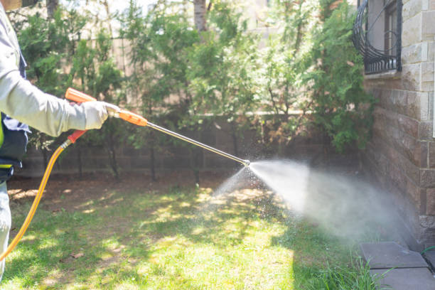 Spider Control Near Me in Selma, NC